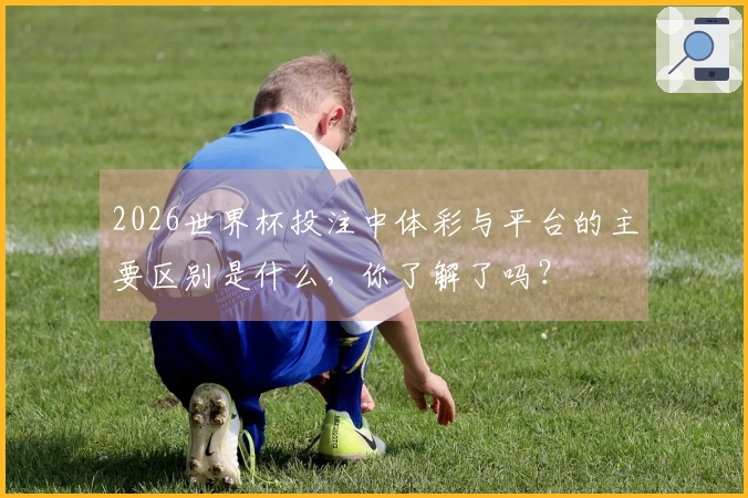 2026世界杯投注中体彩与平台的主要区别是什么，你了解了吗？