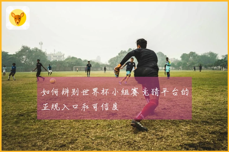 如何辨别世界杯小组赛竞猜平台的正规入口和可信度