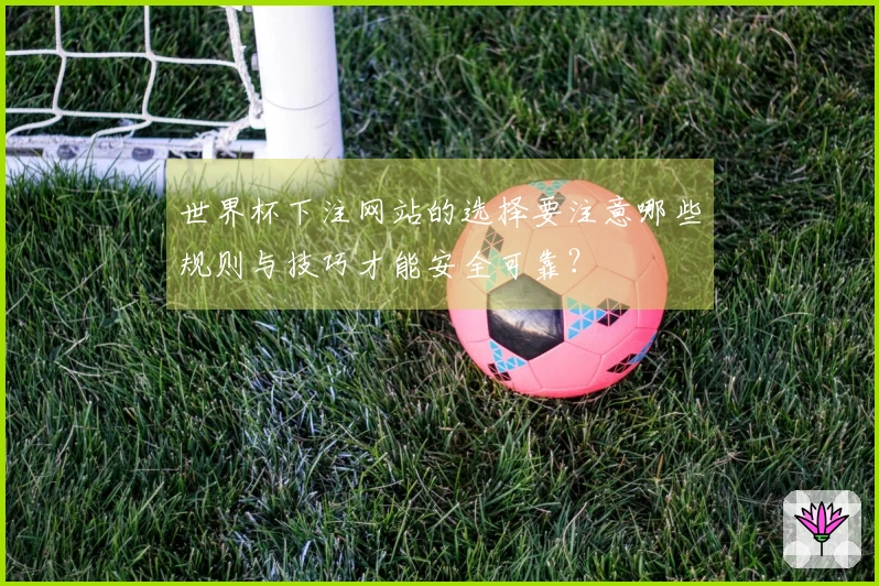 世界杯下注网站的选择要注意哪些规则与技巧才能安全可靠？