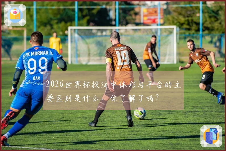 2026世界杯投注中体彩与平台的主要区别是什么，你了解了吗？
