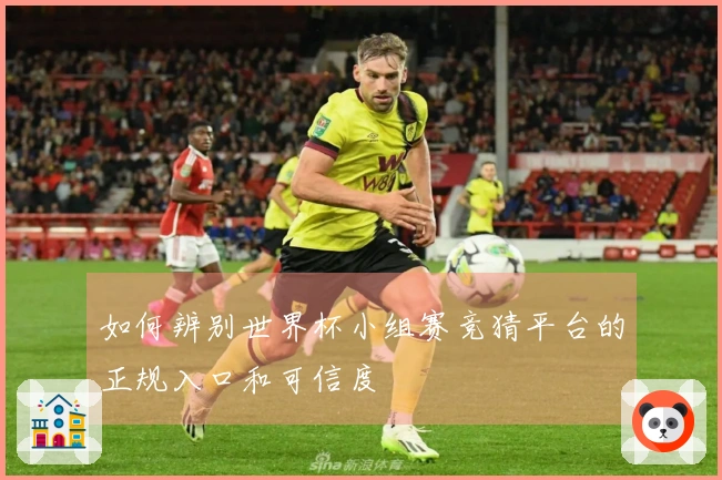 如何辨别世界杯小组赛竞猜平台的正规入口和可信度