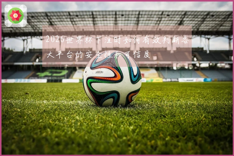 2026世界杯下注时如何有效判断各大平台的安全性和可信度
